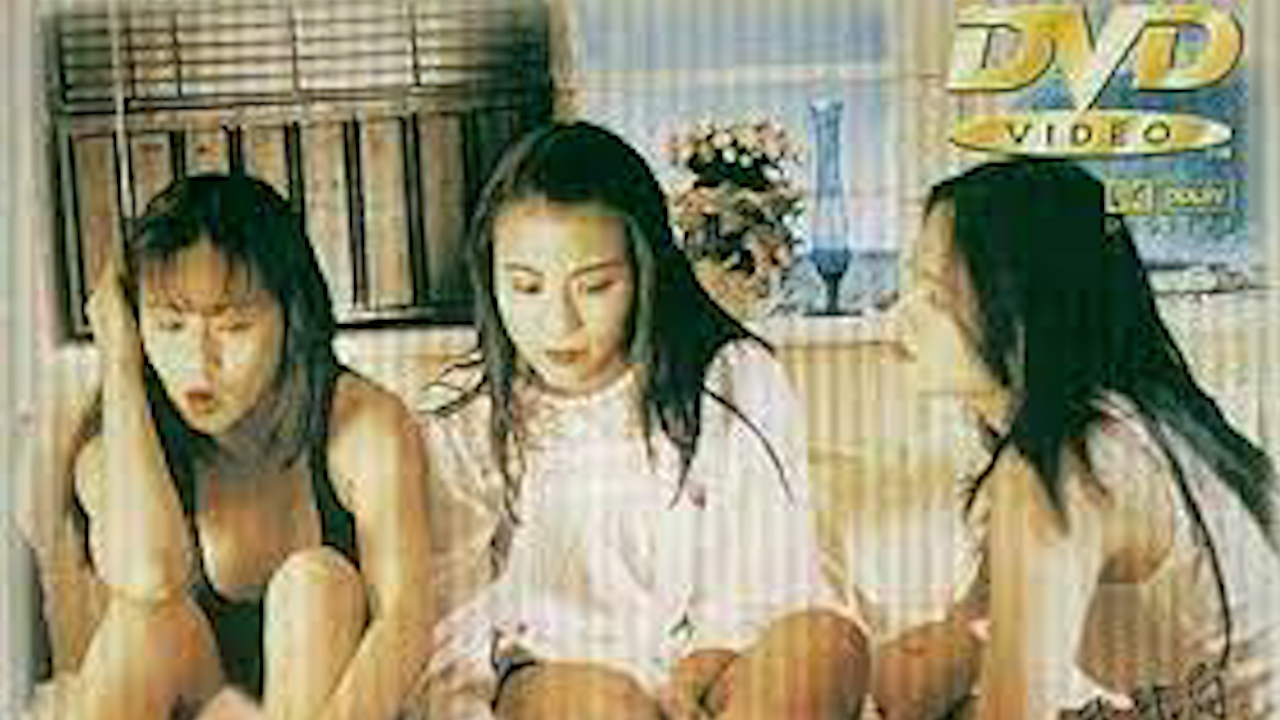 风尘三女侠，李丽珍=国产三级